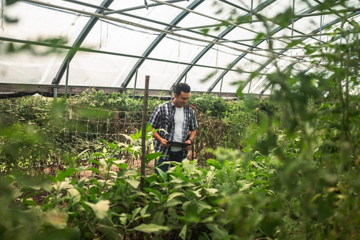 Agriculture