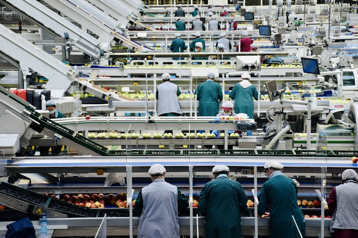 Food Processing